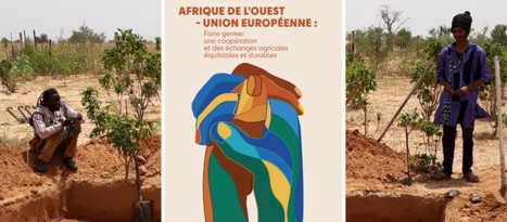 Pour des échanges agricoles équitables et durables entre l’UE et l’Afrique de l’Ouest | Lait de Normandie... et d'ailleurs | Scoop.it