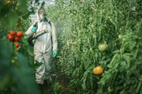 Une usine à pesticides rejette massivement des PFAS dans l'environnement | Toxique, soyons vigilant ! | Scoop.it