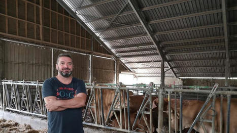 Nouvelle réglementation bio, "c'est inapplicable" alertent des éleveurs bovins | Actualité Bétail | Scoop.it