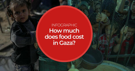 FOOD SECURITY: How much does food cost in Gaza? | ALIMENTATIONS | Scoop.it