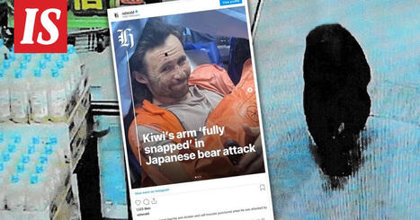 Mies joutui karhun raatelemaksi – selvisi | 1Uutiset - Lukemisen tähden | Scoop.it