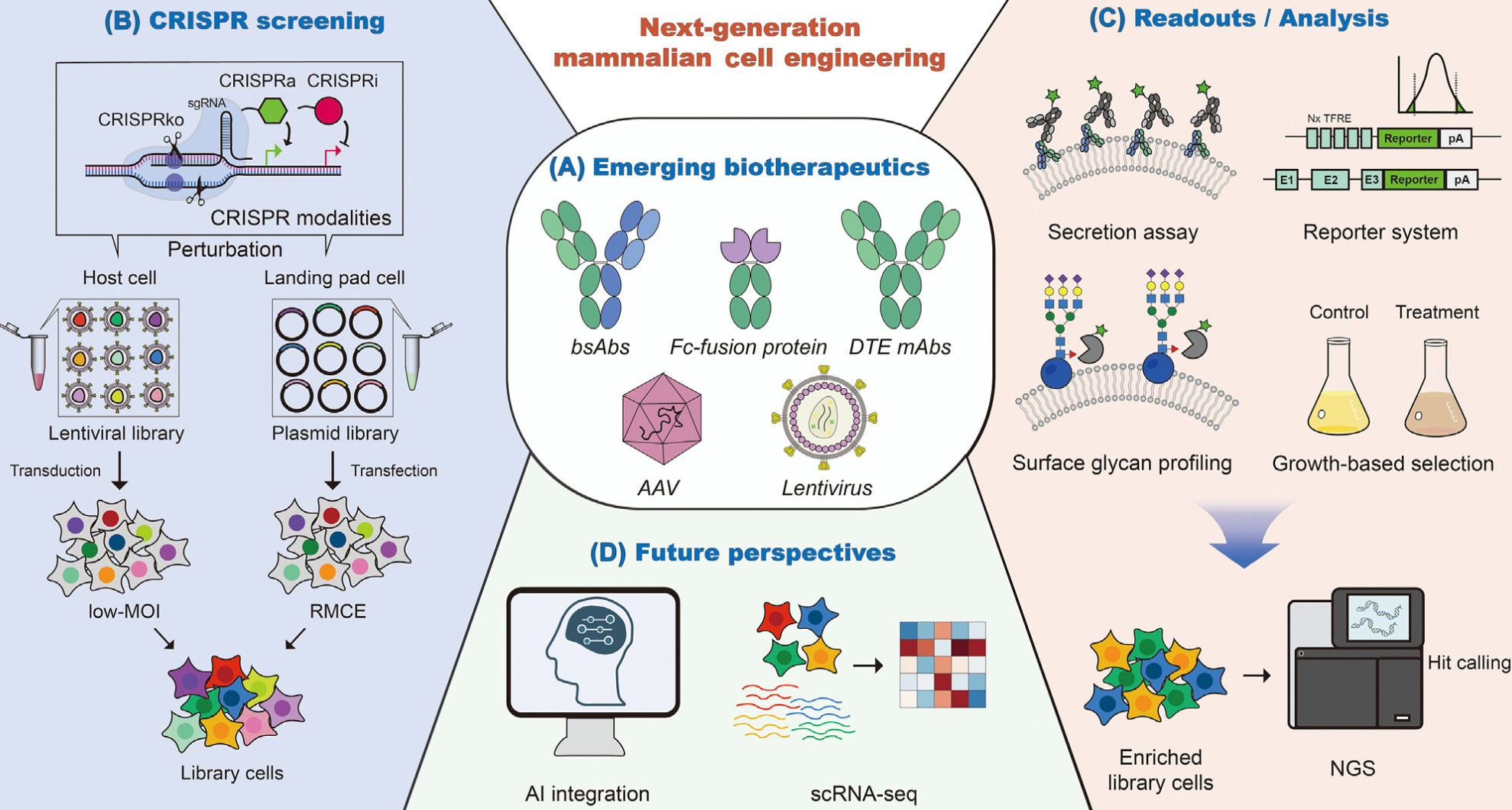 CRISPR screen-based mammalian cell engineering ...