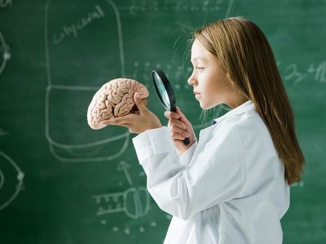 Rue des écoles | France Culture : "Les neurosciences au coeur de l'éducation | Ce monde à inventer ! | Scoop.it