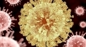 Zika DNA Vaccine Proven Safe  | Complex Insight  - Understanding our world | Scoop.it