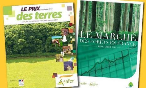 Le-prix-des-terres.fr : un nouveau site Internet des Safer | Graines de doc | Scoop.it