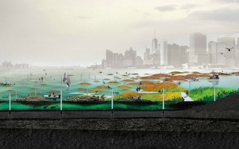 This architect is trying to save our cities from rising sea levels | Stage 5  Changing Places | Scoop.it