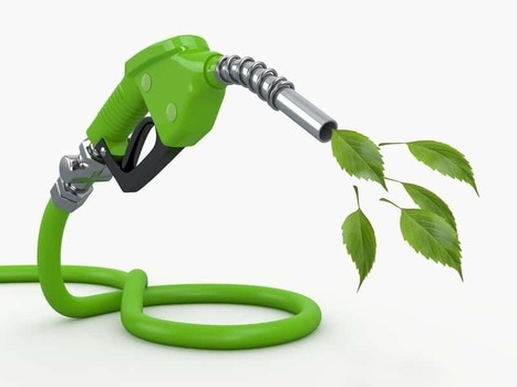 Renewable Diesel Maker Neste Lines Up Four Calif. Distributors  | Sustainability Science | Scoop.it