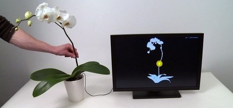 Les plantes, vos périphériques du futur ? | Cabinet de curiosités numériques | Scoop.it