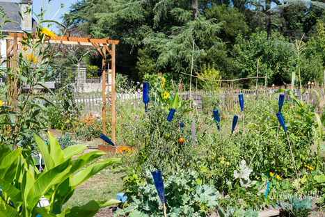 Nantes bucolique #1 : le parc des Oblates | Les blogs parlent du Voyage &agrave; Nantes | Scoop.it