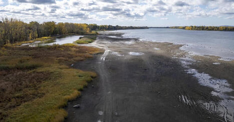 Politiques environnementales: des organismes tirent la sonnette d&rsquo;alarme | Ils parlent de nous ! | Scoop.it