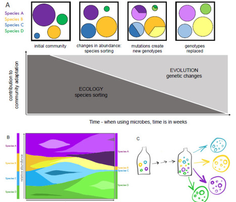 An experimental outlook on investigating temporal-scale dynamics of microbial communities | isme | RMH | Scoop.it