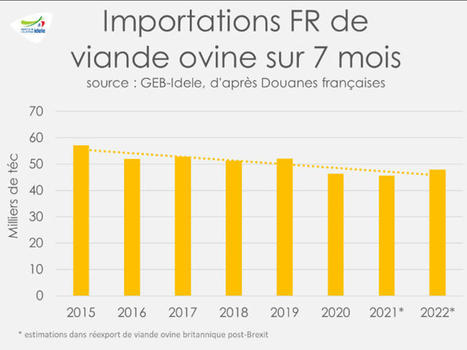Les importations françaises de viande ovine se redressent, mais restent modestes | Actualité Bétail | Scoop.it