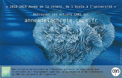 Année de la chimie de l’école à l’université 2018-2019, l’agenda | CNRS | Prévention du risque chimique | Scoop.it