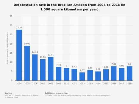 Climate change is drying the Amazon rainforest, NASA study  | Stage 5 Sustainable Biomes | Scoop.it