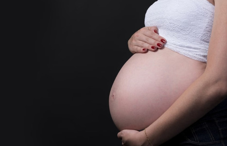 L&rsquo;&eacute;chographie r&eacute;v&egrave;le une grave malformation : les parents demandent un avortement, la m&egrave;re porteuse refuse | Bio&eacute;thique & Procr&eacute;ation | Scoop.it
