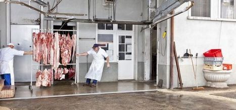 L'abattoir régional de Rolle à la recherche d'un nouveau lieu (Suisse) | La Gazette des abattoirs | Scoop.it