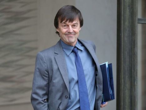 Politique de la mer: le grand public consult&eacute; sur ses attentes | Biodiversit&eacute; | Scoop.it