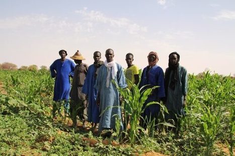 Au Sénégal, le coup de grâce à l’accaparement des terres | Questions de développement ... | Scoop.it