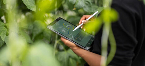 CWS Workwear erreicht EcoVadis-Goldstatus | Erfolgsgeschichten von EcoVadis Kunden | Scoop.it