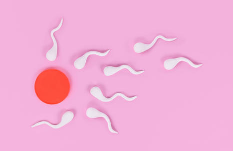 Qu’est-ce que le don de sperme artisanal et pourquoi il pose question ? - Elle | Bioéthique & Procréation | Scoop.it