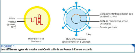Des activités ciblées - Aborder au collège le sujet de la sécurité des vaccins anti-Covid | Veille Éducative - L'actualité de l'éducation en continu | Scoop.it