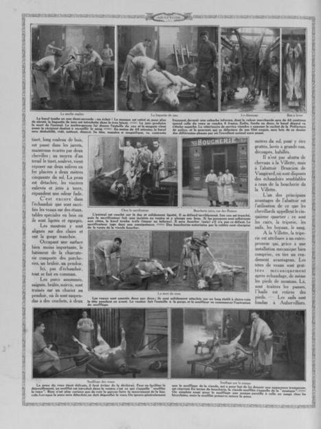 Abattus de la Villette, photos anciennes | La Gazette des abattoirs | Scoop.it