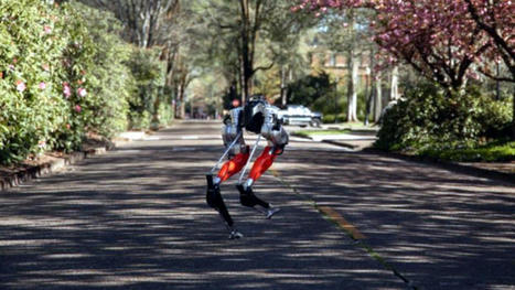 Ostrich Robot Machine-Learns Itself To Run a 5K | Amazing Science | Scoop.it