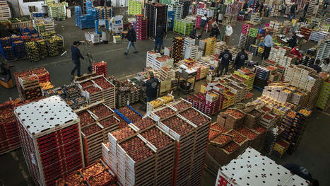 &laquo;&nbsp;Le risque d'une d&eacute;gradation de la s&eacute;curit&eacute; alimentaire en Europe existe&nbsp;&raquo;, estime S&eacute;bastien Abis | Revue de presse du Centre de doc | Scoop.it