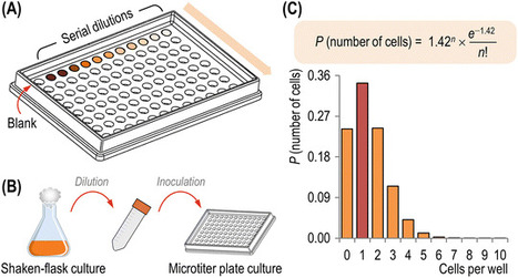 Assessing Carbon Source-Dependent Phenotypic Variability in Pseudomonas putida - Víctor de Lorenzo | RMH | Scoop.it