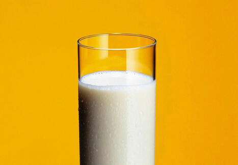 Lait de vache, de soja, d'araignée… Que peut-on réellement qualifier de "lait" ? | EntomoScience | Scoop.it