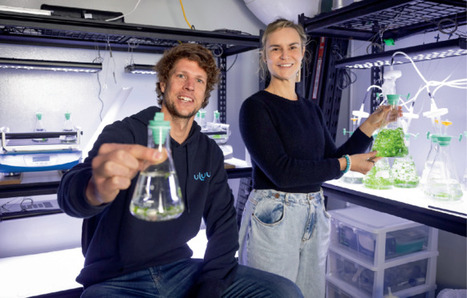 Ocean-grown bioplastics | Nbt | RMH | Scoop.it