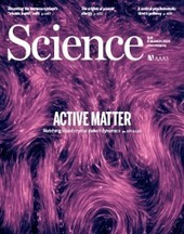 Origins of peanut allergy-causing antibodies | Science | Allergy (and clinical immunology) | Scoop.it