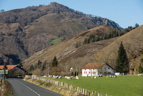 &ldquo;Des Pyr&eacute;n&eacute;es sans fronti&egrave;res face au changement climatique&rdquo; | Pays Basque | MEDIABASK | BABinfo Pays Basque | Scoop.it