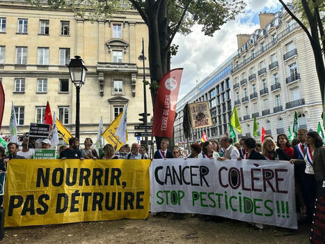 Agriculture : adoptée, la loi Duplomb n’est pas encore appliquée | Economie | MEDIABASK | BABinfo Pays Basque | Scoop.it