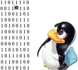 Malware Linux.BackDoor.Fgt.1 bereitet geschickt DDos-Angriffe vor | CyberSecurity | ICT Security-Sécurité PC et Internet | Scoop.it