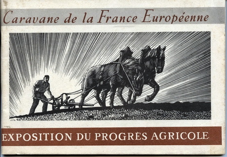 Cop&eacute; laboure son terrain &eacute;lectoral | Chronique des Droits de l'Homme | Scoop.it