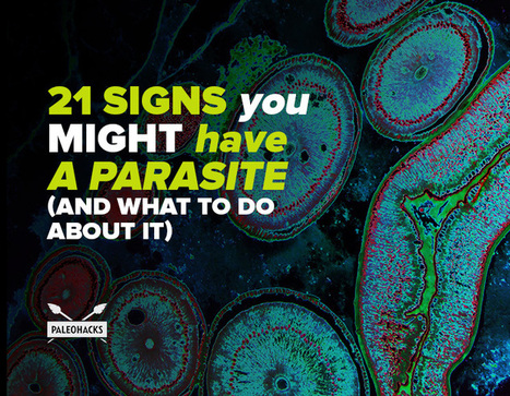21 Signs You Might Have a Parasite | SELF HEALTH + HEALING | Scoop.it