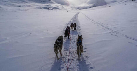 GROENLAND : Une vie au rythme du changement climatique | LE GRAND NORD | Scoop.it