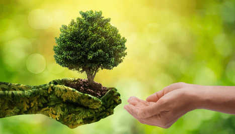 World Environment Day: STL Capital Group drives plastic waste awareness in Lagos market | Industry 411 - Waste Management | Scoop.it