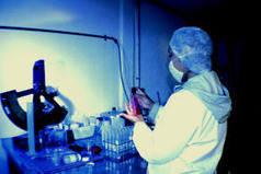 Videos Corporativos y Creación de Contenidos para Empresas, Gobiernos, ONG´s, Personlidades y Artistas | Comunicación, Mercadotecnia, Publicidad y Medios... | Scoop.it