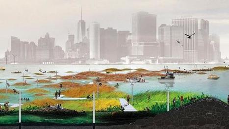 Living buildings for tomorrow’s cities | Cities and buildings of Tomorrow | Scoop.it