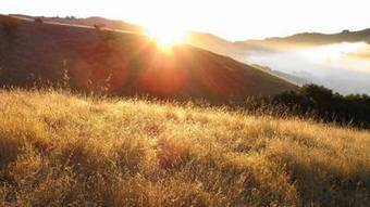 Vocabulary refresher course in the language of mindfulness meditation | AIHCP Magazine, Articles & Discussions | Scoop.it