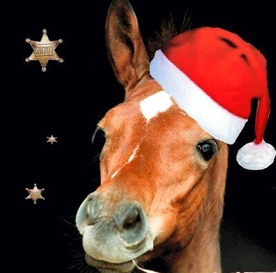 Les réservations marchent bien pour les spectacles des Ecuries du Père Noël - Lamballe - - ouest-france.fr | Salon du Cheval | Scoop.it