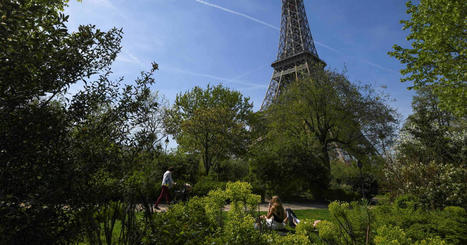 Les d&eacute;fenseurs des arbres de la Tour Eiffel ne baissent pas la garde | Nature en ville | Scoop.it