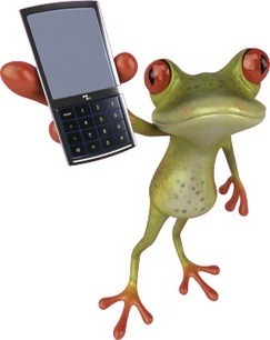 Grenouillage - Le Rassemblement Citoyen | Toulouse La Ville Rose | Scoop.it