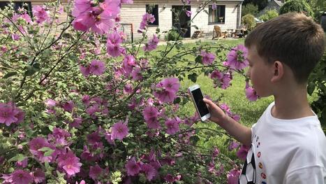Savoir reconna&icirc;tre la nature avec application (s) | Nature en ville | Scoop.it