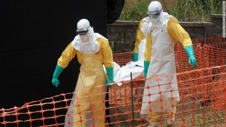 WHO: Ebola outbreak one of 'most challenging' | Ebola Outbreak 2014 | Scoop.it