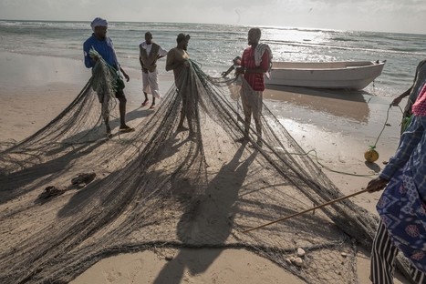 First Catch: Strengthening fisheries and coastal management in Somaliland | Food & Nutrition Security in East Africa | Scoop.it