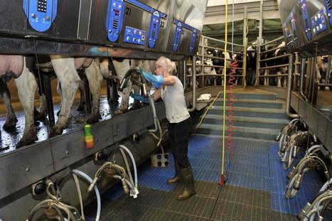 Crise laitière : Moins de 260 €/1 000 litres en juillet | Economie de l'Elevage | Scoop.it