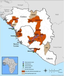 Outbreak of Ebola Virus Disease in Guinea: Where Ecology Meets Economy | Complex Insight  - Understanding our world | Scoop.it